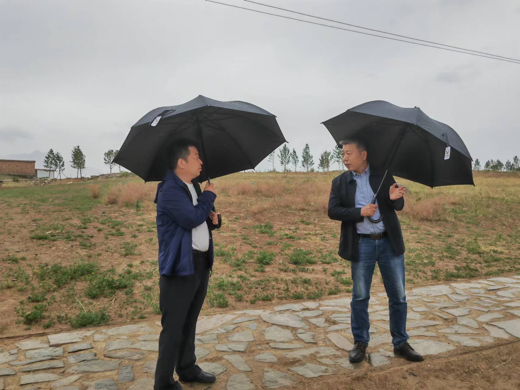 公司領導赴各地開展示范性工程調研