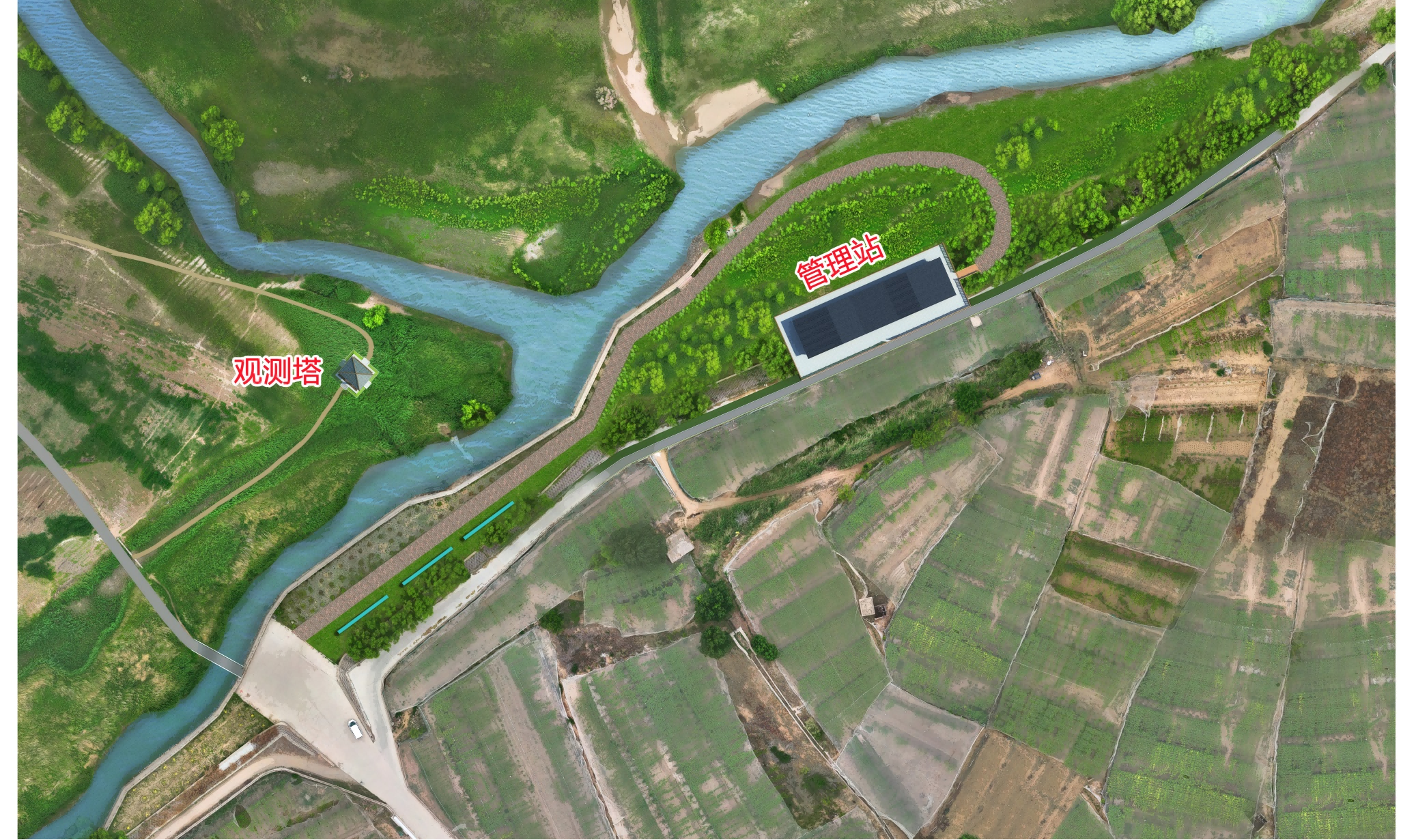 優化方案 創新舉措 將桑洋濕地建設成為示范性工程