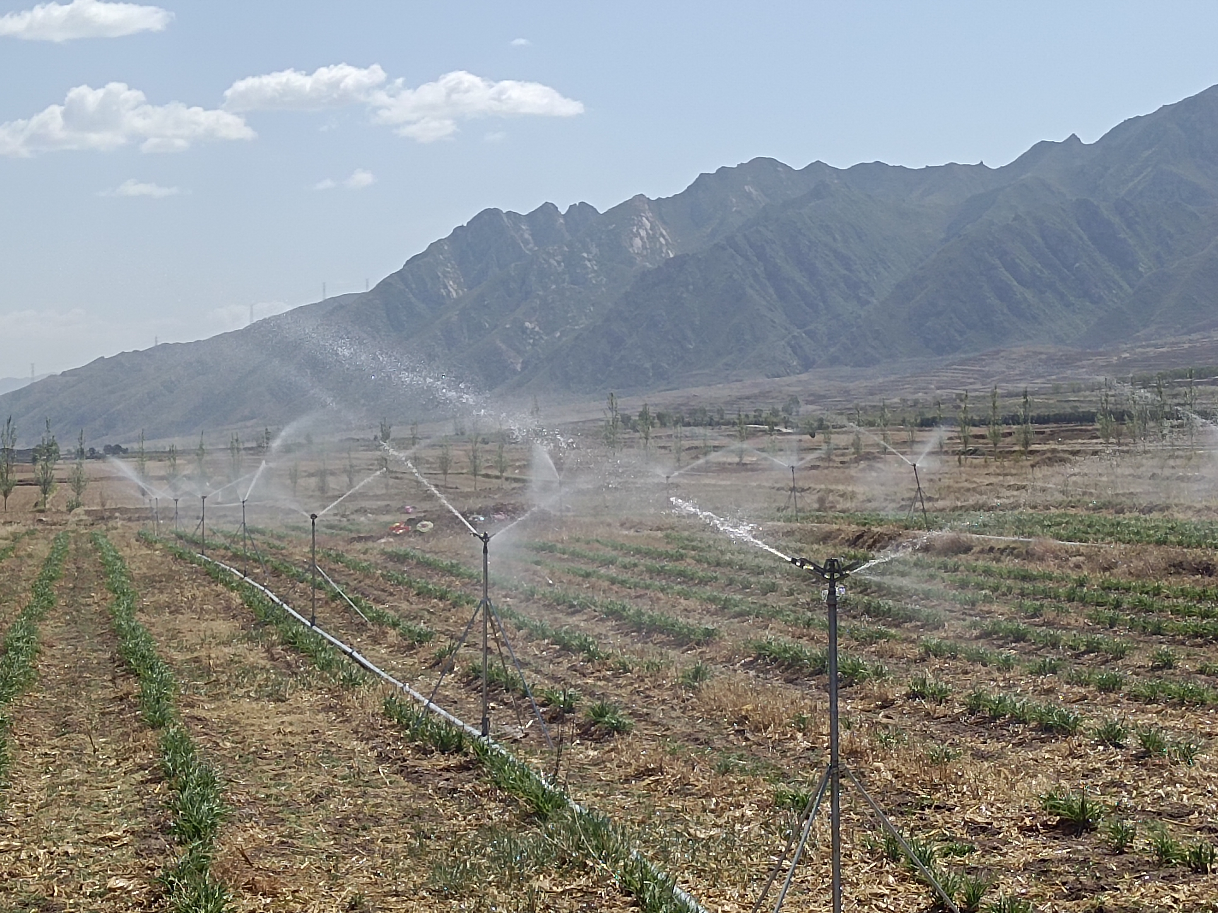 大同分公司 | 陽高縣古城鎮、鰲石鄉等片區農牧交錯帶高效節水灌溉工程通過竣工驗收