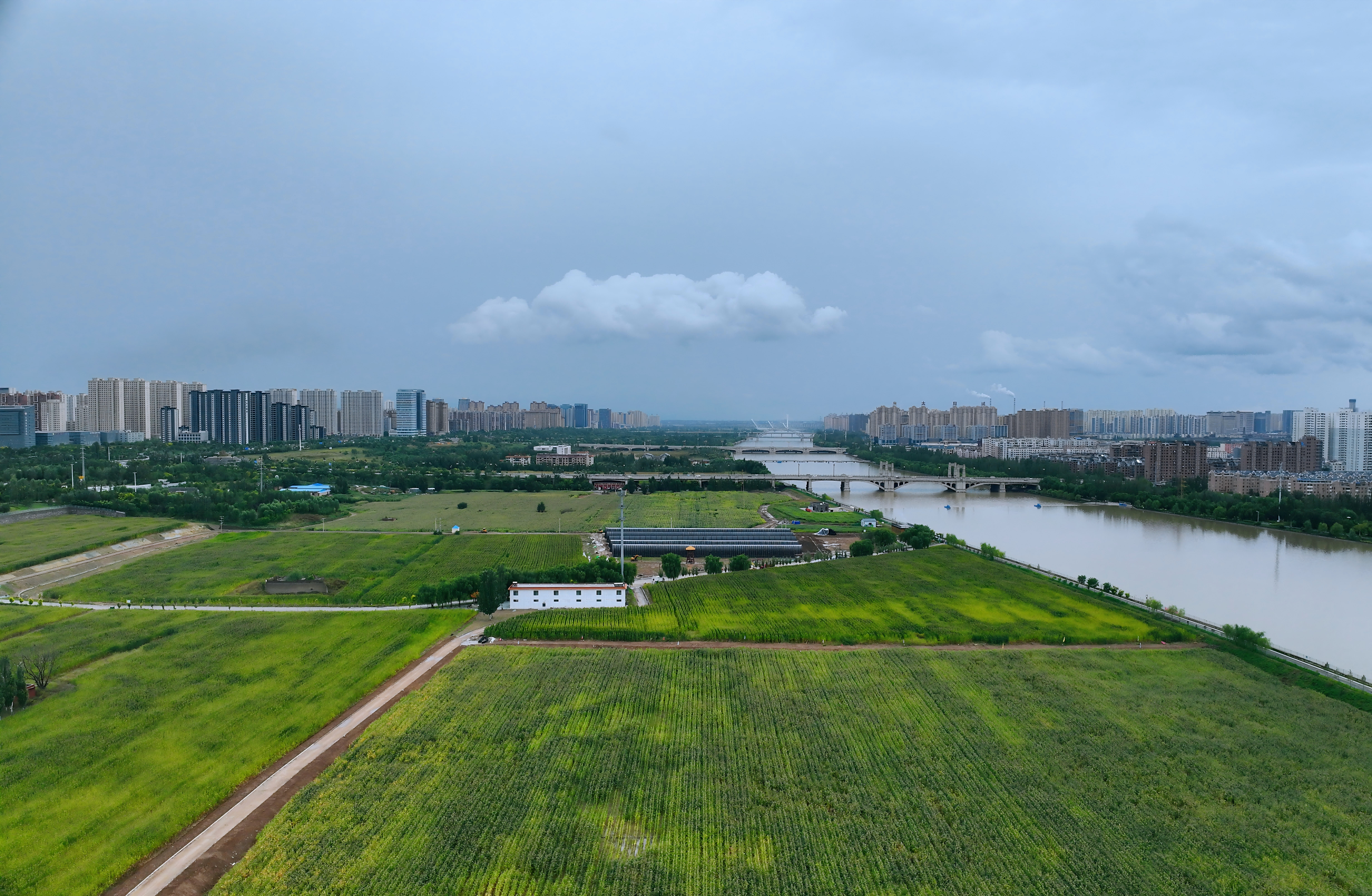 科技添彩生態田 永定河畔慶豐收——永定三生·農谷繪就秋分豐收圖景