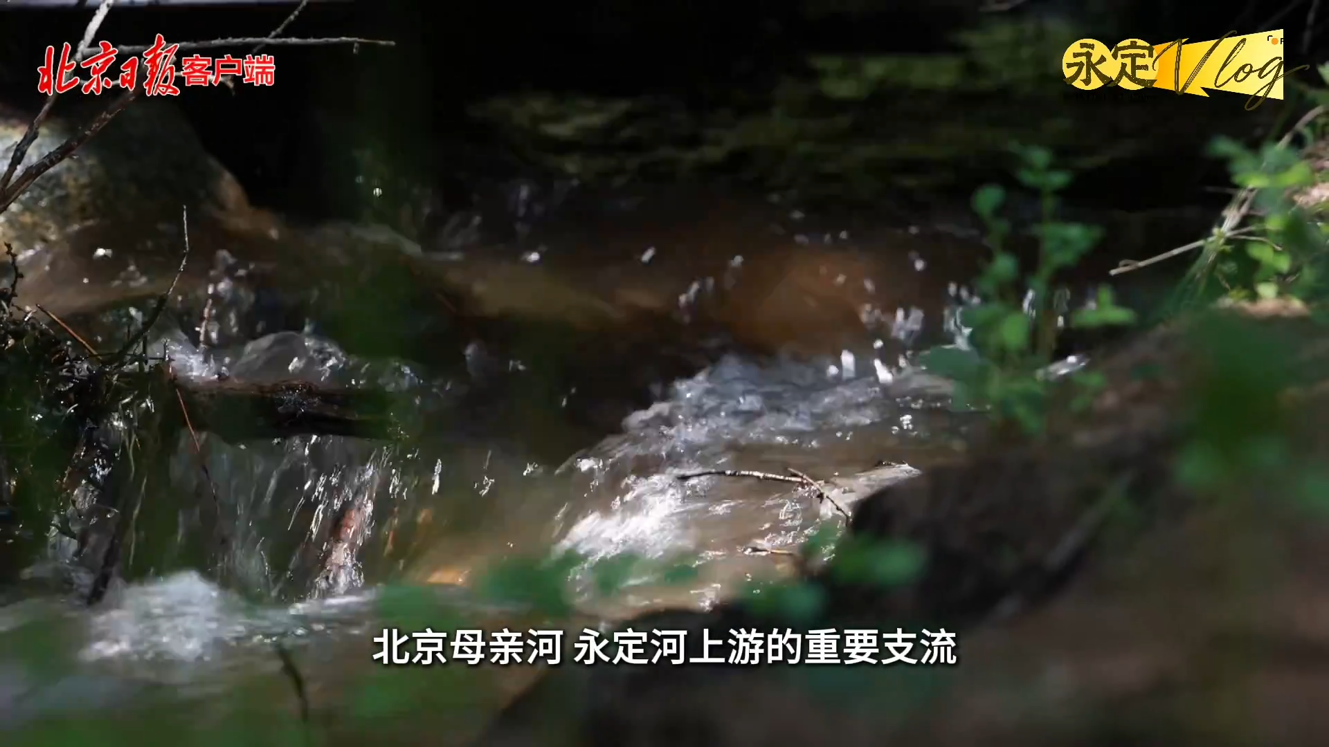 【千年永定】永定vlog｜永定河的“綠色引擎”，竟藏在內蒙古這座山里？