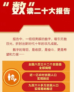“數”讀二十大報告