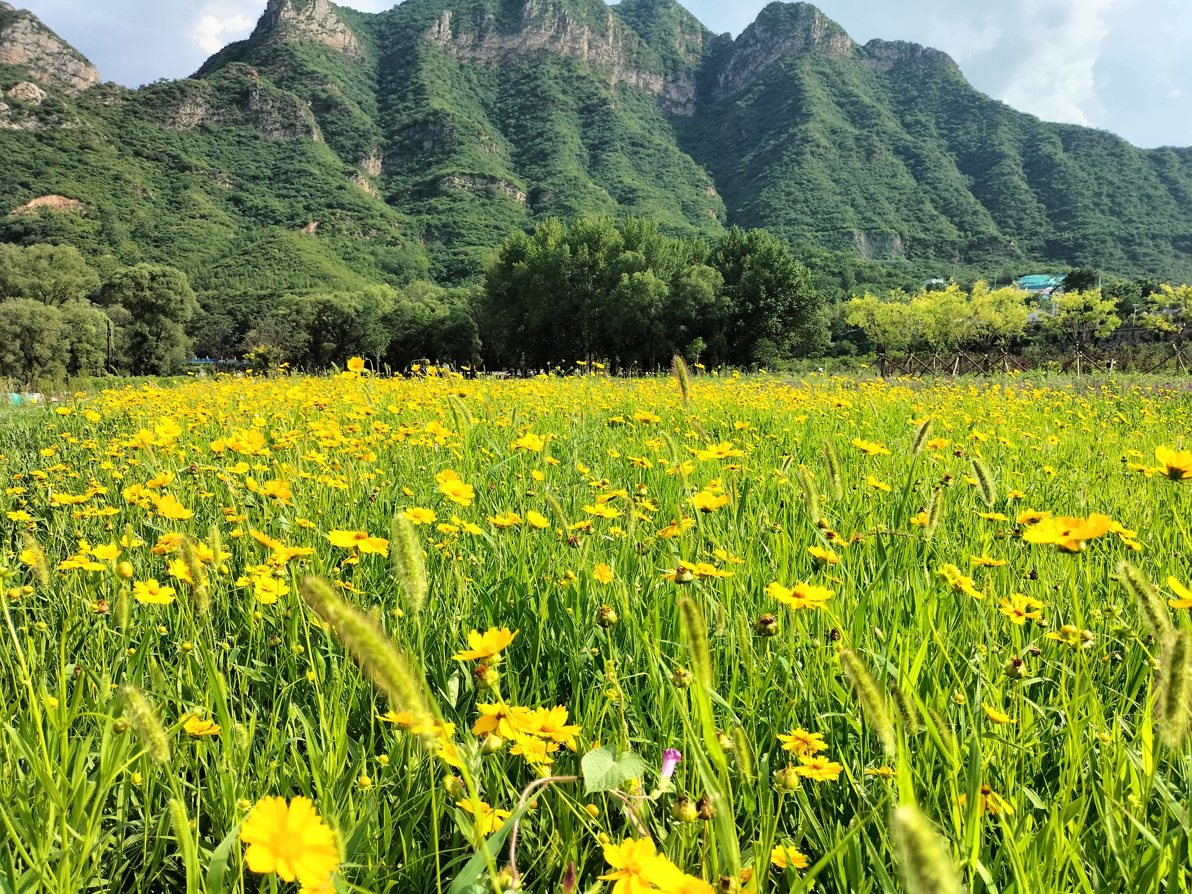 【敬請收看】央視《創新進行時》專題報道永定河山峽段青白口濕地，將于2月20日精彩上線